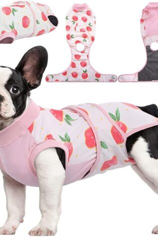 Kuoser Store - Traje profesional para mascotas,...