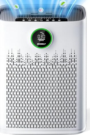 HAP603 - Purificadores de aire para habitacione...