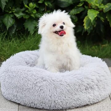 Mejor MDDK Cama 2025 🔥 Oferta Limitada