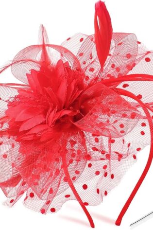 DRESHOW Fascinators Sombrero Tocados De Pinza P...