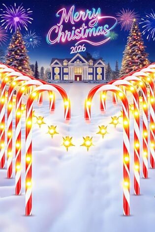 WdtPro Paquete de 24 luces solares mejoradas de