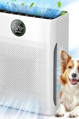 Purificadores de aire para el hogar, habitación...