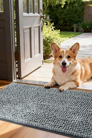 OLANLY Tapete para puerta de perro para patas