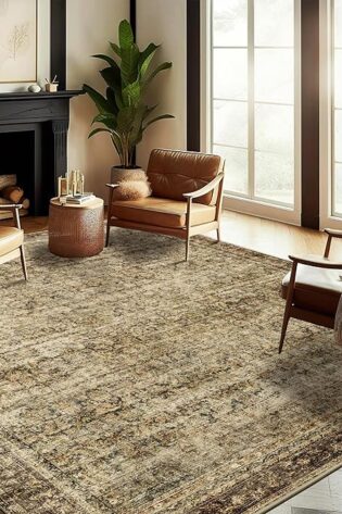 Alfombra de área de 9 x 12 pulgadas,