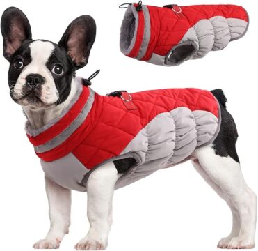 FUAMEY – Abrigo para perro, chaqueta cál… 27.99€