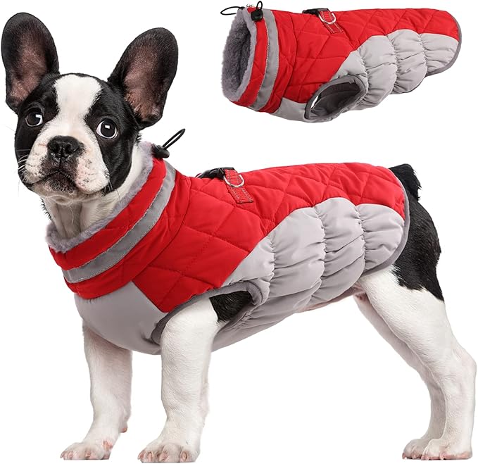 FUAMEY - Abrigo para perro, chaqueta cál... 27.99€ 1 FUAMEY - Abrigo para perro, chaqueta cál... 27.99€