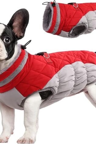 FUAMEY - Abrigo para perro, chaqueta cálida de