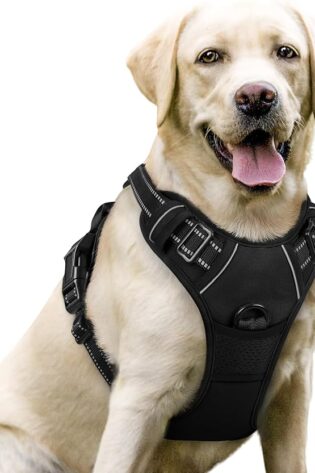 rabbitgoo - Arnés antitirones para perro grande, 2