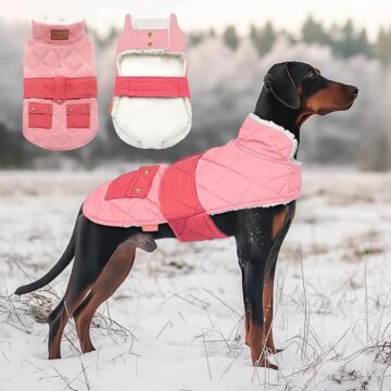 KYEESE Abrigo para perro, ropa cálida pa... 37.94€ 4 KYEESE Abrigo para perro, ropa cálida pa... 37.94€