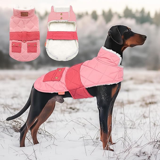 KYEESE Abrigo para perro, ropa cálida pa... 37.94€ 1 KYEESE Abrigo para perro, ropa cálida pa... 37.94€