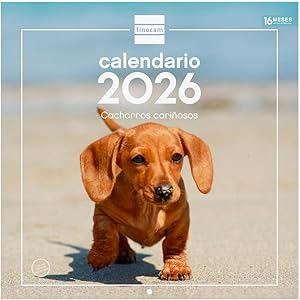 Finocam - Calendario de pared 2026 30x30 cm Mes Vista Enero - Diciembre 2026 +
