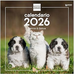 Finocam - Calendario de pared 2026 30x30 cm Mes Vista Enero - Diciembre 2026 + Sep.- Dic. 2025 (4 meses) reducidos | Calendario 2026 | Imágenes Perros y gatos - Español