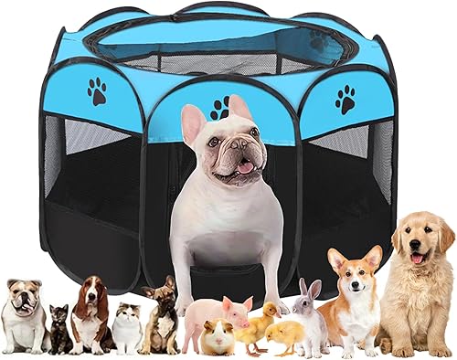 ¡Caño para Cachorros y Gatos a Solo 18.04€ con un 16% de Descuento! 1 ¡Caño para Cachorros y Gatos a Solo 18.04€ con un 16% de Descuento!