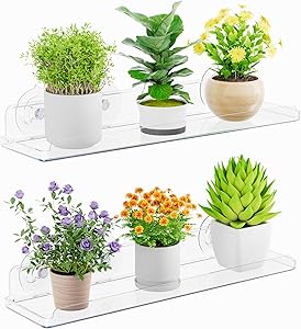 🌱 Lifewit Estanterias Plantas para Ventana, 2 Pack 38cm Baldas flotantes para Plantas Suculentas Interiores y Verduras en Miniatura, Repisas con Estante de Ventosas Acrílicas para Baño/Habitacion 1 🌱 Lifewit Estanterias Plantas para Ventana, 2 Pack 38cm Baldas flotantes para Plantas Suculentas Interiores y Verduras en Miniatura, Repisas con Estante de Ventosas Acrílicas para Baño/Habitacion