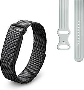 ¡Descubre el secreto para una vida más activa con Google Fitbit Air!