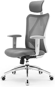 La guía ULTIMATE de Silla de Oficina ergonómica