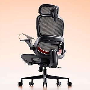 SIHOO Silla de Oficina ergonómica B100, cómoda Silla de Escritorio con Soporte