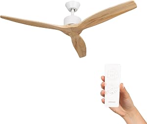 ¿Vale la pena este ventilador de techo potente 2026? 1 ¿Vale la pena este ventilador de techo potente 2026?