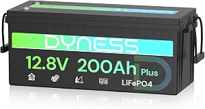 Dyness LiFePO4 Batería de Litio 12V 200Ah con BMS de 200A y Protección contra