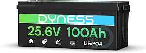 Dyness Batería Litio 24V 100Ah LiFePO4 con BMS 100A y Protección contra Bajas