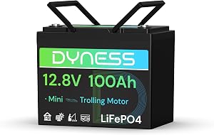 Dyness Batería de Litio 12V 100Ah, Batería LiFePO4 12V para Kayak con BMS 100A,