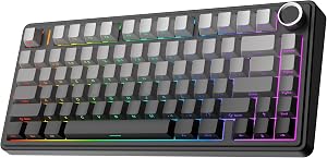 EPOMAKER x Aula F75 Teclado mecánico Gasket, para Juegos 75% Intercambiable en