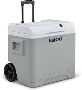 IGLOO IE42 Nevera Eléctrica, 12V y 230V, 42L – Mini Frigorífico Compacto para