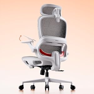SIHOO Silla de Oficina ergonómica B100, cómoda Silla de Escritorio con Soporte
